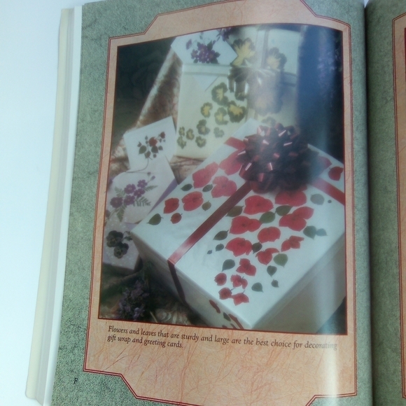 Glorious Pressed Flower Projects Flower Pressing - Picture 3 of 6